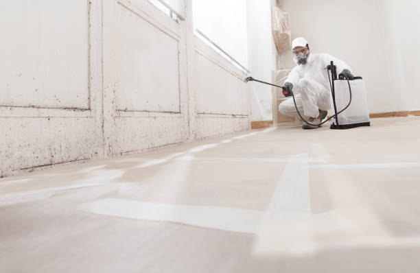 24/7 Emergency Black Mold Removal experts in Knightdale, NC
