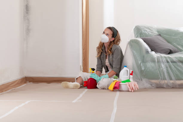Reliable Black Mold Removal contractor in Knightdale, NC by WQB Mold Removal